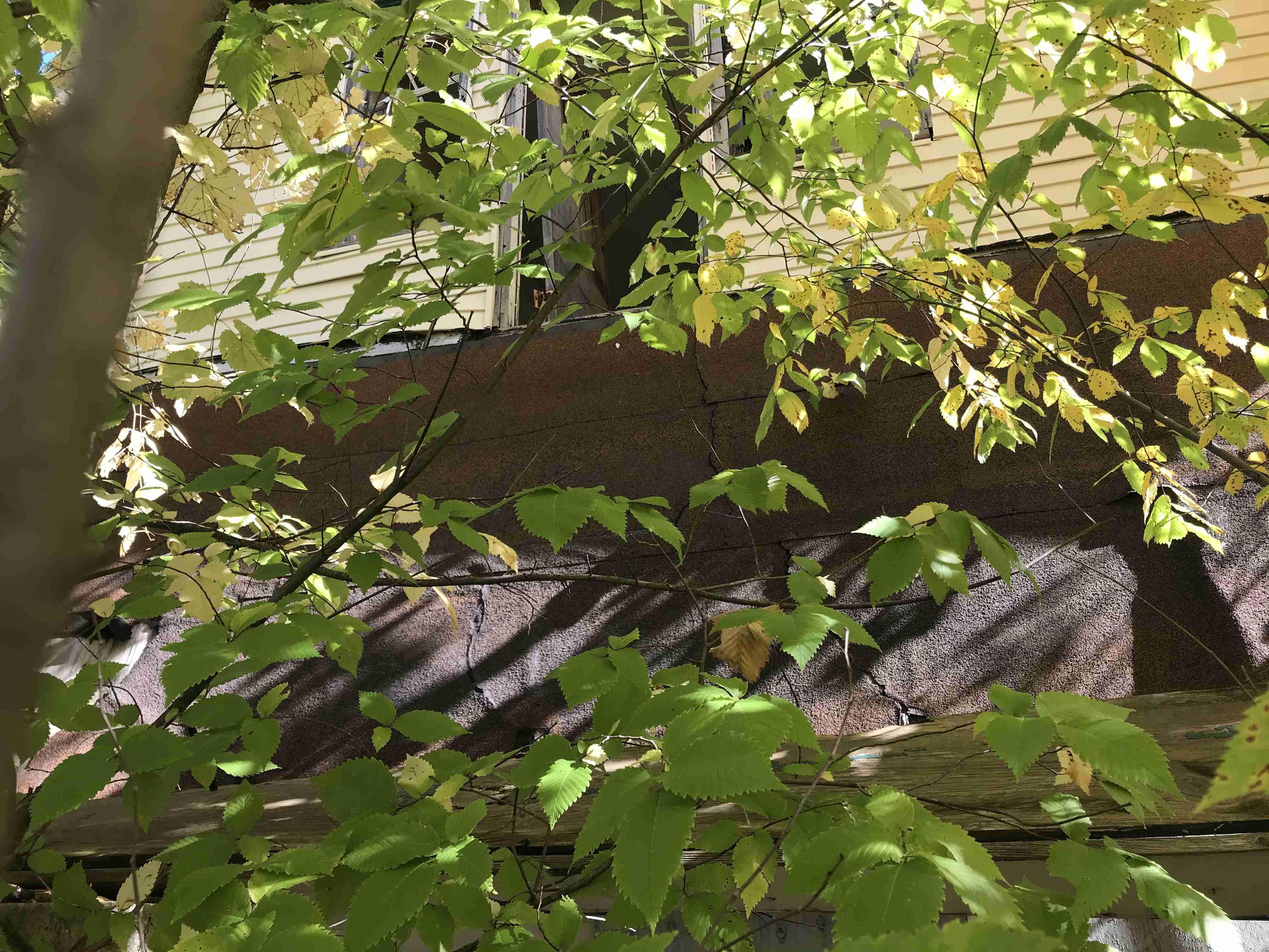 Photo Oct 13, 12 04 23 PM.jpg